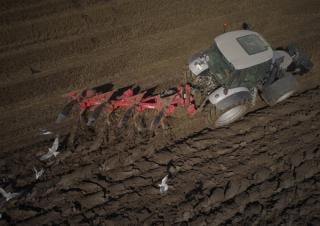 Pługi Maschio Unico L 4NE