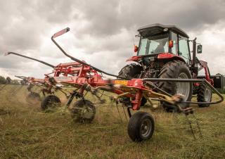 Przetrząsacze karuzelowe Massey Ferguson TD404 DN