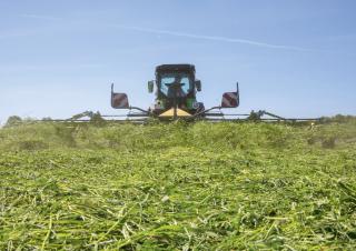 Przetrząsacze karuzelowe Krone Vendro 820