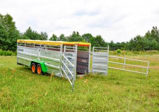 Technologia transportu Przyczepy do bydła Joskin BETIMAX RDS 6000
