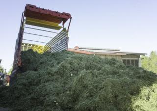 Przyczepy silosowe Pöttinger Primo 801 L