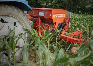 Spulchniacze Maschio HP-6