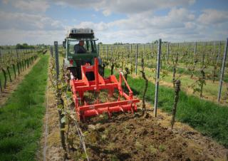 Spulchniacze Maschio Pinocchio 130/3
