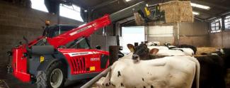 Ładowarki teleskopowe Massey Ferguson MF 9205