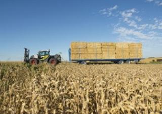 Ładowarki teleskopowe Claas Scorpion 7030