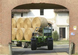 Ładowarki teleskopowe Merlo TF 50.8 T-120