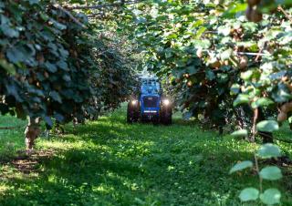 Traktory z napędem 4WD BCS Eagle 85 RS SDT
