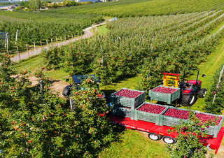 Traktory z napędem 4WD Valtra F105S