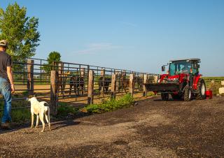 Traktory z napędem 4WD Massey Ferguson MF 1765 M