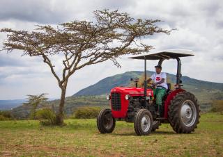 Traktory z napędem 4WD Massey Ferguson MF 35