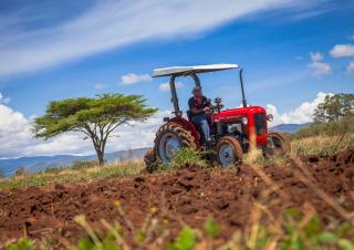 Traktory z napędem 4WD Massey Ferguson MF 35