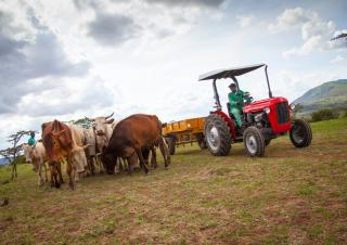 Traktory z napędem 4WD Massey Ferguson MF 35