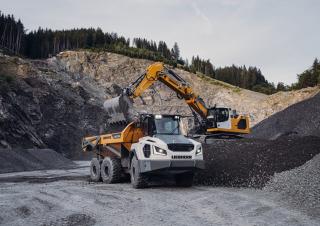 Wozidła przegubowe Liebherr TA 230 Litronic