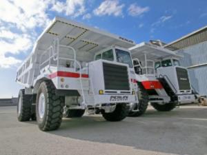Wywrotka tylnozsypowa Perlini DP 705 WD