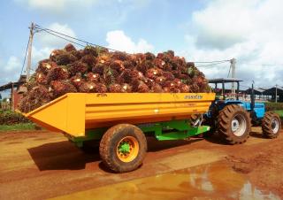 Technologia transportu Wywrotki Joskin TRANS-PALM 4500/7C65