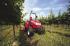 Traktory z napędem 4WD McCormick GM 45