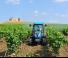 Traktory z napędem 4WD Landini Rex DT 4-100V
