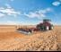 Brona talerzowo-zębowa Case IH Heavy-Offset 790