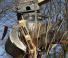 Caterpillar G315B-WH