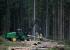 Maszyny leśne Kombajny John Deere 1270 E IT4