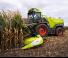 Zaczep Heder do zbioru kukurydzy Claas Orbis 10500