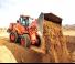 Ładowarki kołowe Doosan DL250-5
