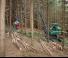 Maszyny leśne Kombajny Neuson Forest 103HV