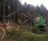 Maszyny leśne Kombajny Neuson Forest 183HVT