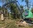 Maszyny leśne Kombajny Neuson Forest 243HV