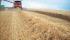 Kombajny zbożowe Case IH Axial Flow 8120