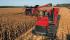 Kombajny zbożowe Case IH Axial Flow 9120