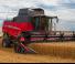 Kombajny zbożowe Massey Ferguson Beta 7370