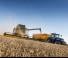 Kombajny zbożowe New Holland CX8.90 Elevation