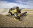 Kombajny zbożowe New Holland CX8.90   