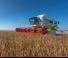 Kombajny zbożowe Claas Lexion 770