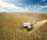 Kombajny zbożowe Claas Lexion 8800 TerraTrac 