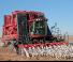 Kombajny zbożowe Case IH Module Express 635