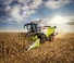 Kombajny zbożowe Claas Trion 660   