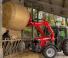 Massey Ferguson FL 3117X