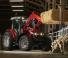 Massey Ferguson FL 5029