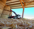 Ładowarki teleskopowe Manitou MLT 630-115 V Elite