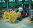 Ładowarki teleskopowe Manitou MLT 737-130 PS D Premium