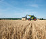 Ładowarki teleskopowe Claas Scorpion 736 