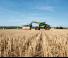 Ładowarki teleskopowe Claas Scorpion 746