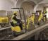 Minikoparki Wacker Neuson 803