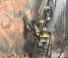 Akcesoria Młoty hydrauliczne Epiroc SB 452 T