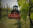 Mulczery Maschio Tigre 300