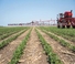 Opryskiwacze samojezdne Case IH Patriot 3250