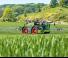 Opryskiwacze samojezdne Fendt Rogator 665 