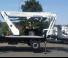 Oil & Steel Scorpion 2112J